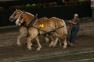 The Great Frederick Fair 2010